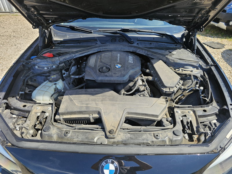 20250712_163723 BMW Série 1 II 116d 116ch Lounge 5p